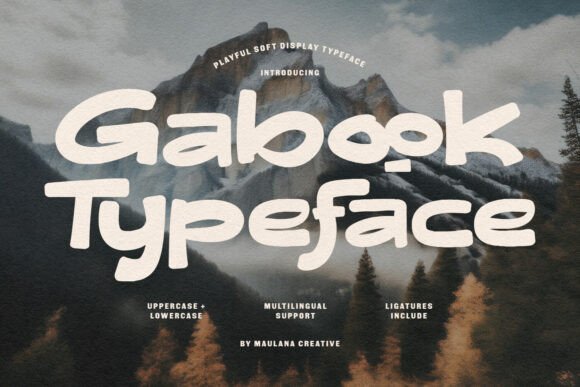 Gabook: The Display Typeface with a Human Touch